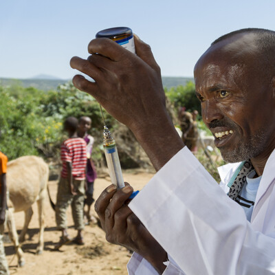 Community animal health worker Ethiopia